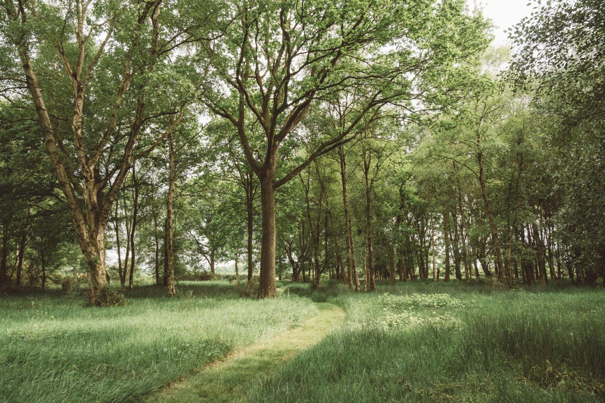 Ball Hall Farm By Wigwam Holidays East Cottingwith Eksteriør bilde